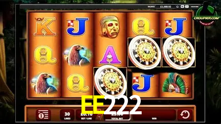 EE222 公平游戏